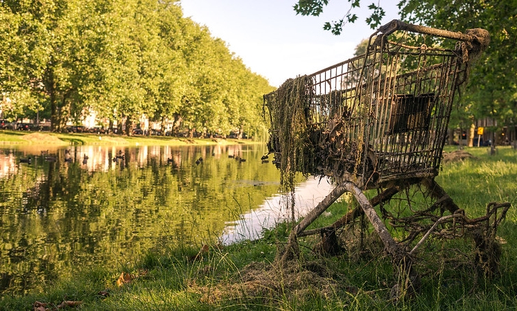 Photo of a shopping card pulled from a river, with weeds all over it